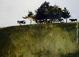 Shadey Trees by Andrew Wyeth